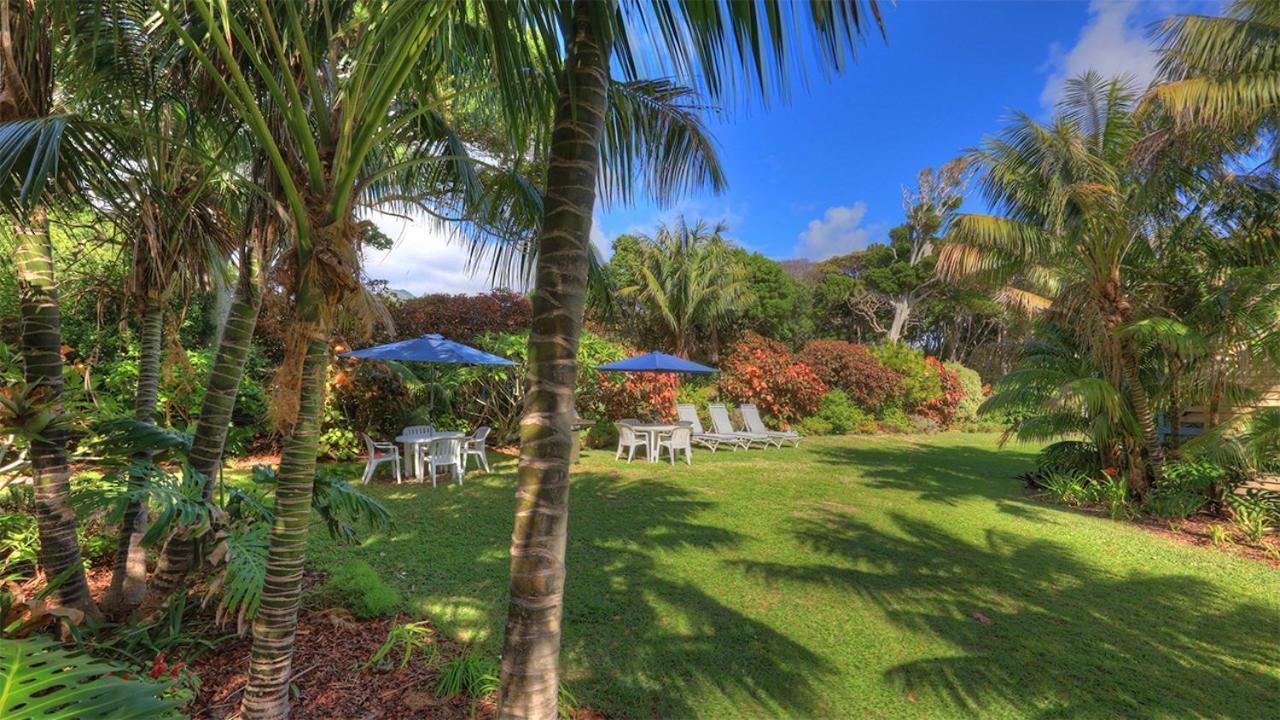 The Broken Banyan Apartment Lord Howe Island Bagian luar foto